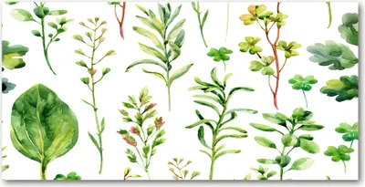 Produktbild von Tulup® Leinwandbild - 140x70 cm - Wandkunst - Drucke auf Leinwand - Leinwanddruck  - Blumen & Pflanzen - Grün - Kräuter Unkräuter