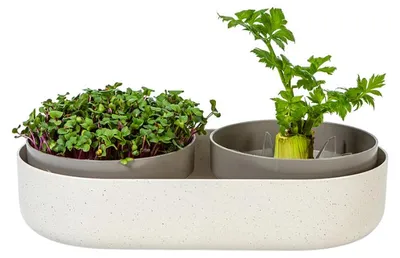 Obrázok produktu pre Klíčiaci podnos a výsadbová miska ReGrow | Klíčiace podnosy od spoločnosti Plastia, farba: slonovinová škvrnitá
