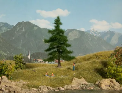 Produktbild von NOCH Nordmanntanne, Grün