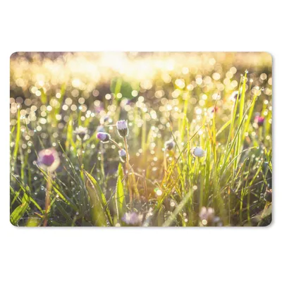 Produktbild von MuchoWow® Schreibtischunterlage Gras - Blumen - Frühling 60x40 cm - XXL Mauspad - Großes Mauspad