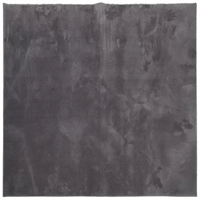 Produktbild von Teppich HUARTE Kurzflor Weich und Waschbar Anthrazit 160x160 cm