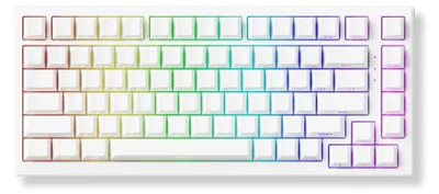 Image de Clavier de jeu magnétique Akko TAC75 HE, format 75%, blanc - USB-C, compatible 8K, interrupteurs magnétiques antireflet RGB