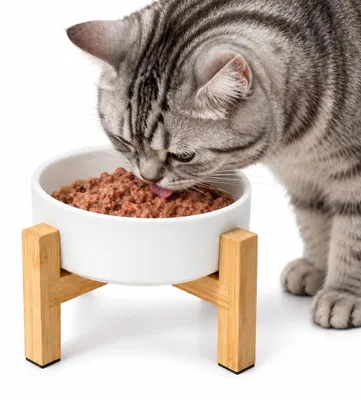 Productafbeelding van Kattenvoerbak keramiek verhoogd - 400 ml - Antisliep standaard - Antibraak - Wit