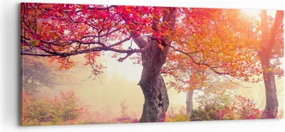 Produktbild von Bild auf Leinwand - Leinwandbild - Baum Natur Wiese - 120x50cm - Wand Bild - Wanddeko - Wandbilder - Leinwanddruck - Bilder - Kunstdruck - Wanddekoration - Leinwand bilder - Wandkunst - AB120x50-3658