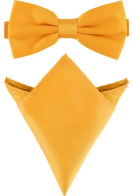 Produktbild von Ladeheid Herren Schmale Fliege & Einstecktuch Set M/P (12cm x 6cm, 22cm x 22cm)