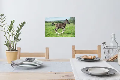 Produktbild von MuchoWow® - Wierderverwendbar - Selbstklebend