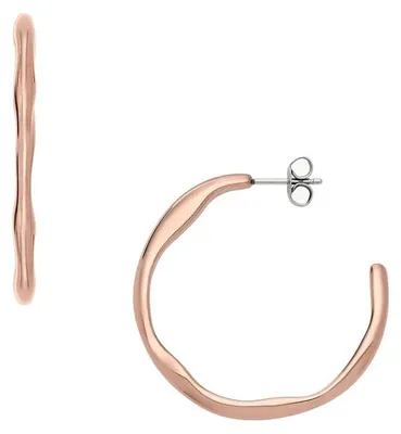 Produktbild von Ohrringen   Kreisförmig Skagen Rosé   Kollektion Moderne Stak - frau