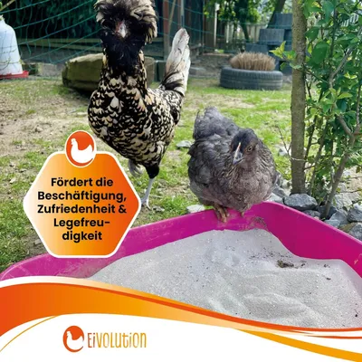 Productafbeelding van Badzand voor kippen en kwartels - 8 kg - met anijs en kalkgrit - voor zandbaden