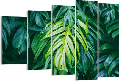 Produktbild von Bild auf Leinwand - Leinwandbild - Blume Natur - 150x100cm - Wand Bild - Wanddeko - Wandbilder - Leinwanddruck - Bilder - Kunstdruck - Wanddekoration - Leinwand bilder - Wandkunst - EG150x100-3951