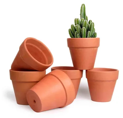 Imagen del producto de Solidchoice - Juego de 6 macetas de terracota para suculentas y plantas