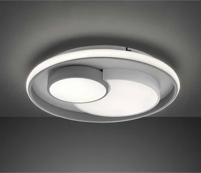 Image de Plafonnier LED, gris blanc, variateur d'intensité 3 niveaux, D 50 cm