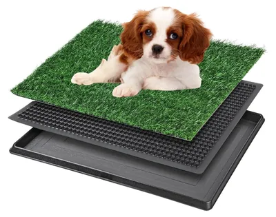 Zdjęcie produktu dla Toaleta dla psa z tacką 40 x 50 cm, sztuczna trawa, do wnętrz