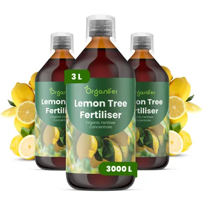 Obrázok produktu pre Citrónový Strom, tekuté hnojivo 3x1 L – vzorec NPK 2-1-8 – pre citrónové stromy – podporuje aromatické plody a zdravý rast listov – organické