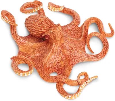 Produktbild von Safari - 267229 - Pazifischer Oktopus, Kunststoff, 19,5cm x 19cm x 5 cm