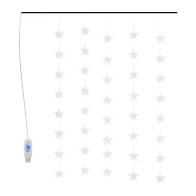Zdjęcie produktu dla vidaXL Kurtyna świetlna LED 200 LED zimna biel 8 funkcji