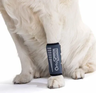 Immagine prodotto di Benda carpale per cani Circonferenza dell'articolazione carpale 5 - 8 cm (taglia XXS)