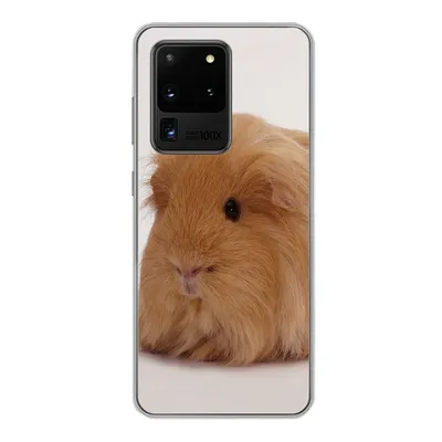 Produktbild von MuchoWow® Handyhülle Schutzhülle Hülle für Samsung Galaxy S20 Ultra Sheltie-Meerschweinchen Silikon Softcase Handy Hülle - Karteninhaber