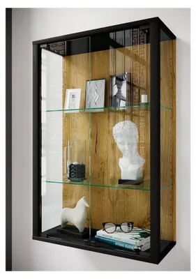 Produktbild von Hängende Glasvitrine | Vitrine aus ESG-Sicherheitsglas | Maße: H. 80 x B. 60 x T. 25 cm | Modern und platzsparend