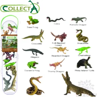 Produktbild von COLLECTA Mini plazy a obojživelníky, 12 ks