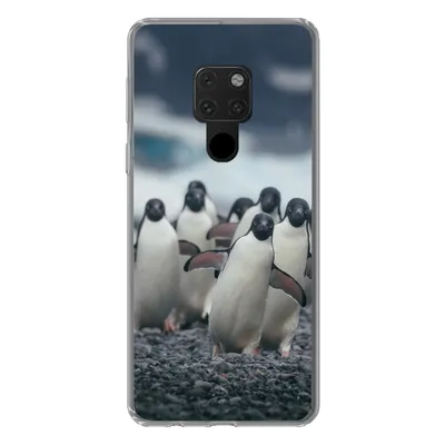 Produktbild von MuchoWow® Handyhülle Schutzhülle Hülle für Huawei P40 Lite Adeliepinguine am Strand Silikon Softcase Handy Hülle - Handy