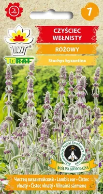Zdjęcie produktu dla Czyściec wełnisty różowy NAsiona kwiatów - 483 Toraf