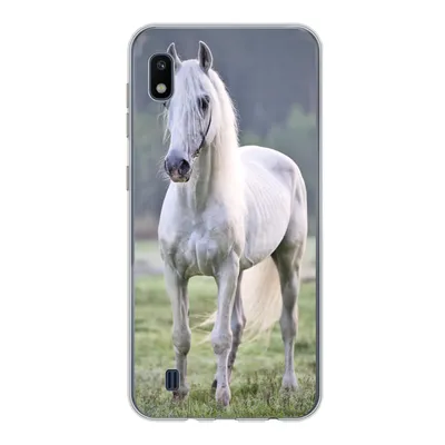 Produktbild von MuchoWow® Handyhülle Schutzhülle Hülle für Samsung Galaxy A10 Pferd - Licht - Morgen Silikon Softcase Handy Hülle - Schutzhülle