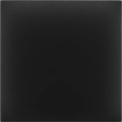 Produktbild von VILO Polsterpaneel Samt 30x30 cm - Schwarz, Quadratisch, Wandkissen gepolstert, Akustikpaneel, Kopfteil Bett, Samtoptik, Weich, Wanddeko (1 Stück)