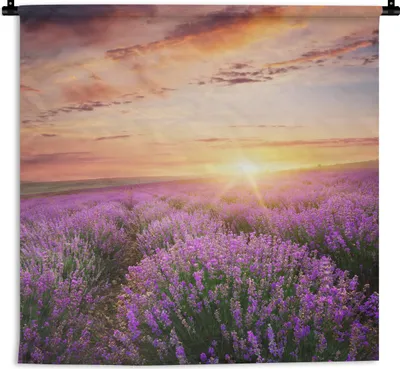 Produktbild von MuchoWow® Wandteppich Wandbehang Lavendel - Sonne - Blumen 120x120 cm Tapisserie Dekoration Wandtuch - Modern - Baumwollgewebe