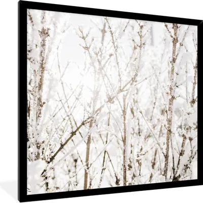 Produktbild von MuchoWow® Gerahmtes Poster Winter - Äste - Eis 40x40 cm - Poster mit Schwarzem Bilderrahmen Wandposter Rahmen Foto Bilder - Mit Rahmen - Wanddekoration Schlafzimmer