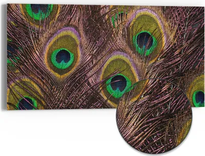 Produktbild von DEQORI Hybrid Leinwand Bild 60x30 cm 'Pfauenfedernpracht' Wandbild Glas flach modern