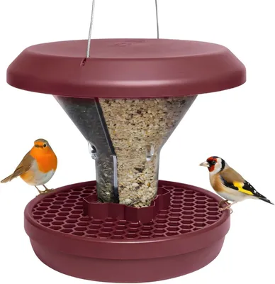 Produktbild von Vogel-Futtersilo SMART BIRDS Davos Burgundy