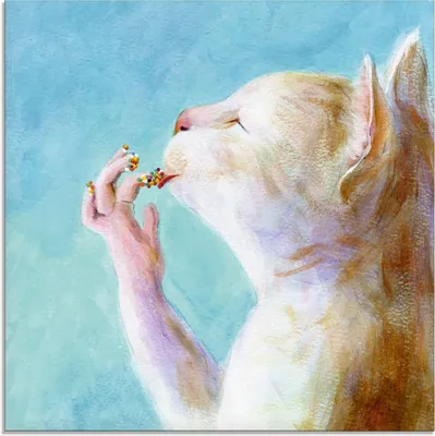 Produktbild von ARTland Glasbild Naschkatze Größe: 20x20 cm