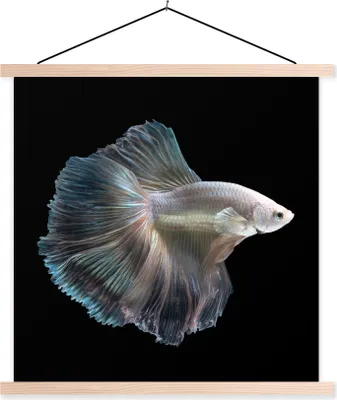 Produktbild von MuchoWow® Textilposter Fisch - Schwanz - Weiß 40x40 cm mit holzfarbenen Rahmen - Posterleiste