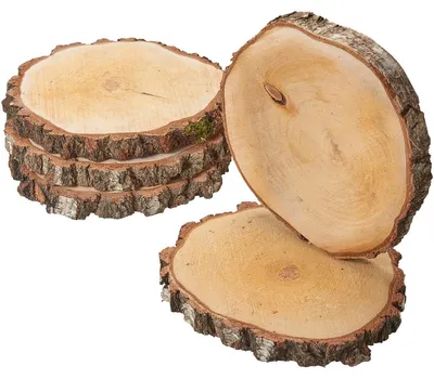Image de Rondelles d'arbre 5 pcs. Bois de décoration Disques en bois 33 - 37 cm
