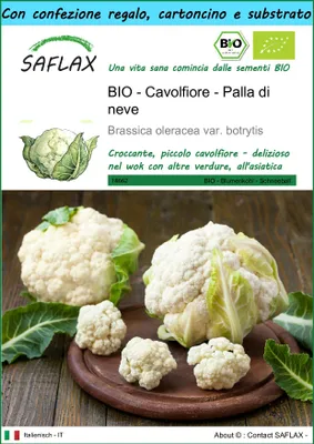 Immagine prodotto di SAFLAX Set regalo -- Cavolfiore - Palla di neve - 70 semi - Brassica