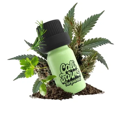 Produktbild von Hanf-Terpene Botanicals | TERPEN-PROFIL - Platinum Kush | 1 ml