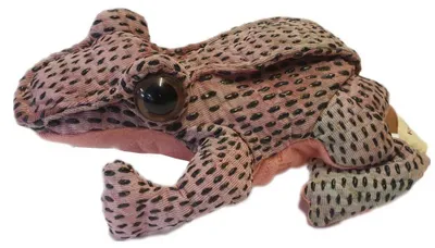 Produktbild von Folkmanis Fingerpuppe mini Rotbein-Frosch 2673
