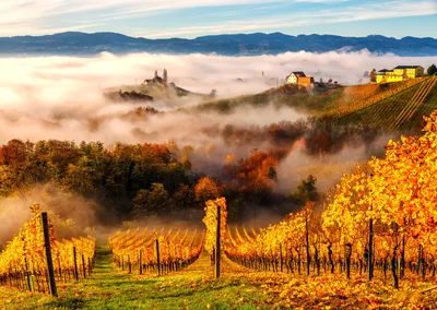 Produktbild von ENJOY Puzzle Im Weinberg 1000 Teile