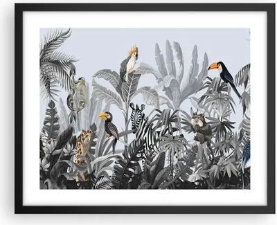 Produktbild von Gerahmtes Poster - Schwarzer Rahmen - Dschungel Tiere Tukane - 50x40 cm - Wand Bild - Wanddeko - Wandbilder - Kunstposter - Wandposter - Bilderrahmen - Bilder - Kunstdruck - P2BAA50x40-4662