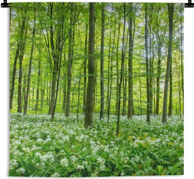 Produktbild von MuchoWow® Wandteppich Wandbehang Wald - Bäume - Grün 150x150 cm Tapisserie Dekoration Wandtuch - Wohnaccessoires - Modernes