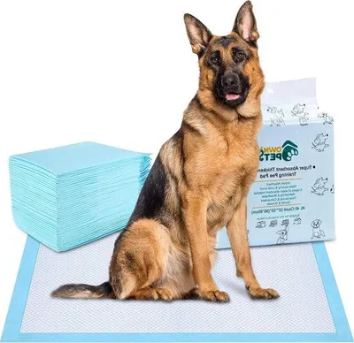 Produktbild von Famanu Trainingsmatten 80 x 90 cm - 40 Stück saugfähige Hundetoilettematten