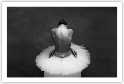Produktbild von Poster - Poster ohne Rahmen - Ballerina Rücken Stück - 91,5x61 cm - Wand Bild - Wanddeko - Wandbilder - Kunstposter - Wandposter - Bilder - Kunstdruck - Wanddekoration - Wandbild - P2XAA91x61-4729
