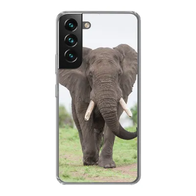 Produktbild von MuchoWow® Handyhülle Schutzhülle Hülle für Samsung Galaxy S22 Elefant - Tiere - Gras - Natur Silikon Softcase Handy Hülle - Mobiltelefonhülle