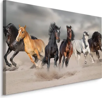 Immagine prodotto di Favolosa tela PICTURES 120x80 cm XXL stampa d'arte spiaggia sabbia cavalli cielo