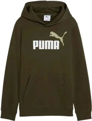 Produktbild von Hoodie Puma 685823-70 für Jungen