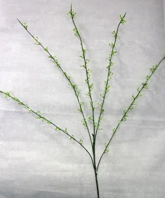 Produktbild von Künstlicher Dekozweig grün-weiss ca. 100 cm