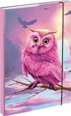 Image de Baagl Boîte à cahiers pour cartable A4 - Classeur pour enfants avec élastique et rabats intérieurs - Classeur, boîte à cahiers avec élastique pour filles (hibou)