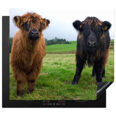 Produktbild von KitchenYeah© Herdabdeckplatte Schottische Highlander - Kühe - Natur - Grün - Gras , 57x51cm, Küche Deko, Glaskeramikkochfeld Herdabdeckung, Abdeckplatte fùr Kochfeld