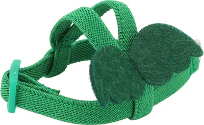 Image de Laisse pour harnais de perroquet,Laisse pour harnais d'oiseau,Corde de traction pour harnais d'oiseau,Corde d'entraînement pour vol d'oiseau,Corde de traction pour harnais de vol d'oiseau,Corde d'entraînement pour vol de perroquet
