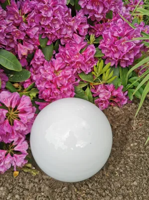 Produktbild von Dekorationskugel 30 cm Edelstahl weiß poliert Dekokugel Gartenkugel Gartendeko